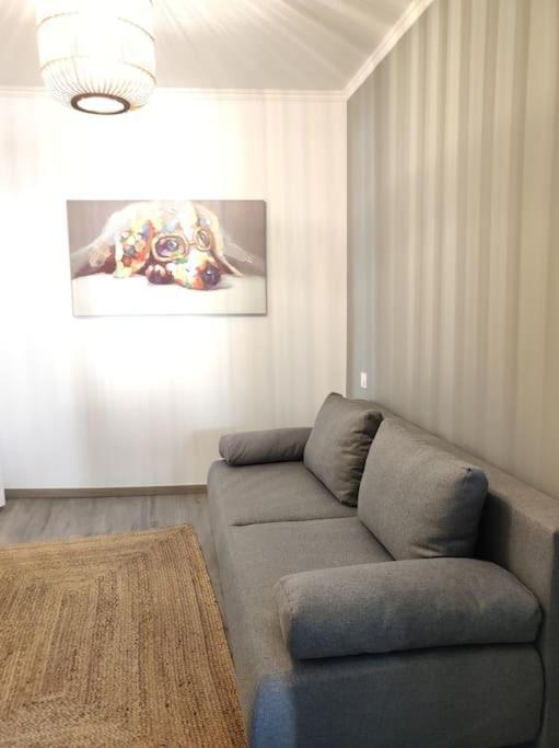Cocon De Charline - Charme Et Elegance Dans Le Centre Apartment Montauban Exterior photo